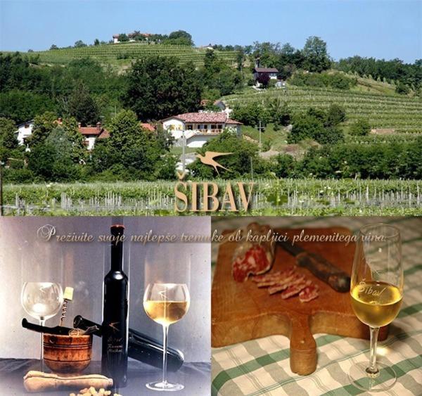 Farm Stay Sibav B&B Dobrovo Exterior foto